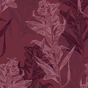 aster_plant_wine_reds