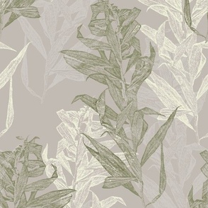 aster_plant_green_beige