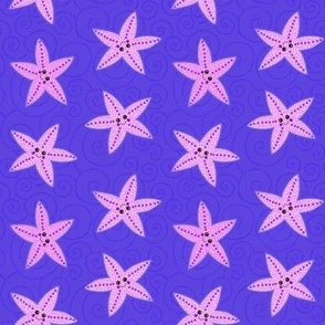 Pink starfish on indigo