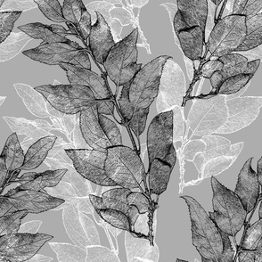 forsythia_leaves_gray