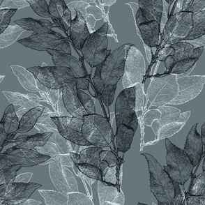forsythia_leaves_teal_tint_gray