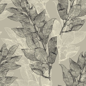 forsythia_leaves_tan_charcoal