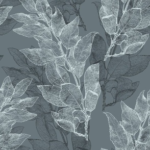 forsythia_leaves_charcoal_gray