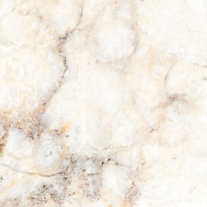 Marble Natural Stone Grey Veining Quartz