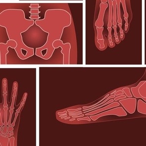 The Hip Bone's connected to - all red - large