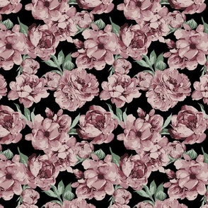 Romantic Roses Dust Pink Peony on Black Background