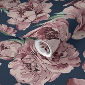 Romantic Peony Dust Pink Rose on Dark Blue Background