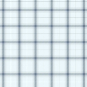 Pale moon plaid