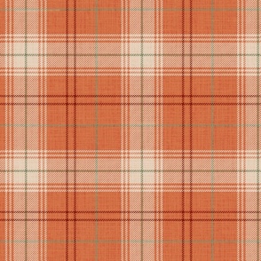 Ginger Ditsy Plaid - large