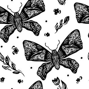 Hand drawn black and white moths, butterflies