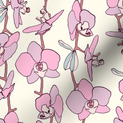 Hand-drawn pink orchids