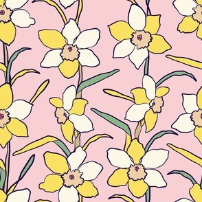 Yellow daffodils on a pink background. Large format