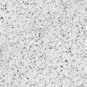 White Speckled Granite Stone Seamless Repeat