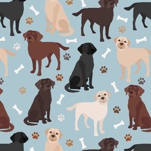 Labrador Retriever Paws and Bones All Coats Lab Dogs Blue