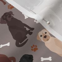 Labrador Retriever Paws and Bones All Coats Lab Dogs Brown