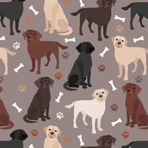 Labrador Retriever Paws and Bones All Coats Lab Dogs Brown