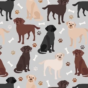 Labrador Retriever Paws and Bones All Coats Lab Dogs Gray