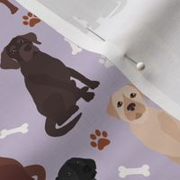 Labrador Retriever Paws and Bones All Coats Lab Dogs Purple