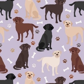 Labrador Retriever Paws and Bones All Coats Lab Dogs Purple