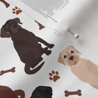 Labrador Retriever Paws and Bones All Coats Lab Dogs White