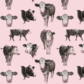 Cows on Pink Pattern 