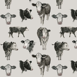 Cows on Gray Pattern