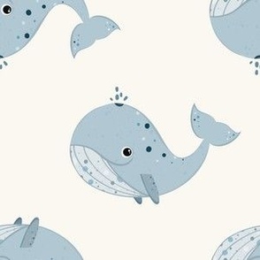 Baby Whale