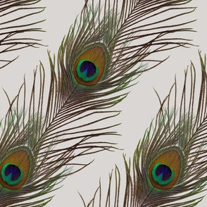 Silver Peacock Stripe