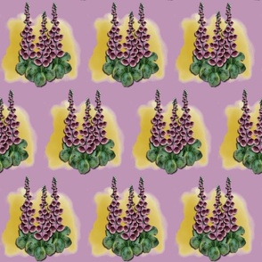foxglove-light violet copy