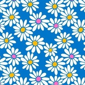 Daisies on Cerulean - Small
