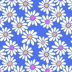 Daisies on Periwinkle - Small