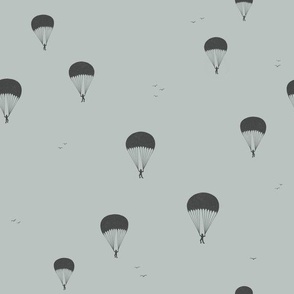 Parachutes  Grey