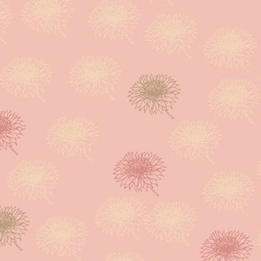 Pink and green dandelion