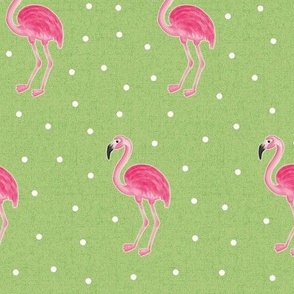 Flamingo Toss with Dots