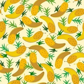 Banana slugs on yellow