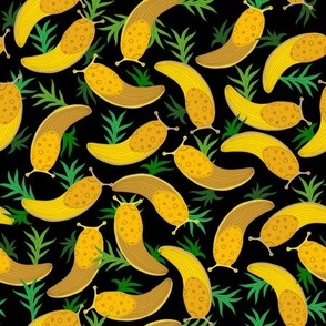 Banana slugs on black