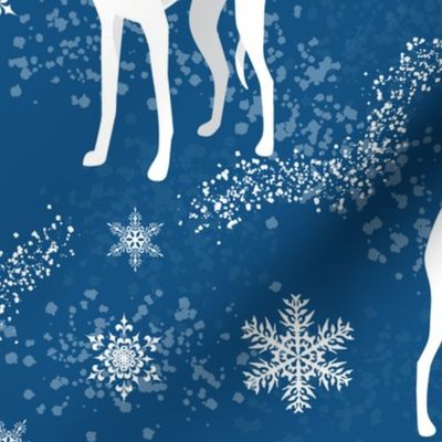 Christmas Iggy Italian Greyhound