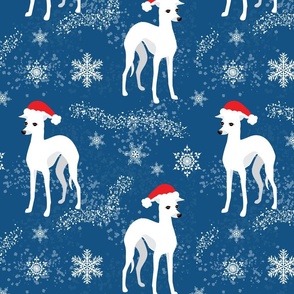 Christmas Iggy Italian Greyhound