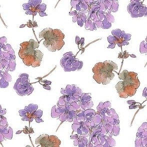 Geranium Flowers - Lavender