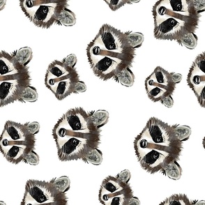Large - Raccoons (rotated)