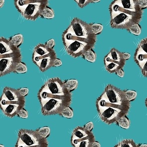 Raccoon Faces (turquoise rotated)