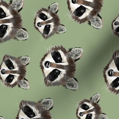 Raccoon Faces (green rotated)