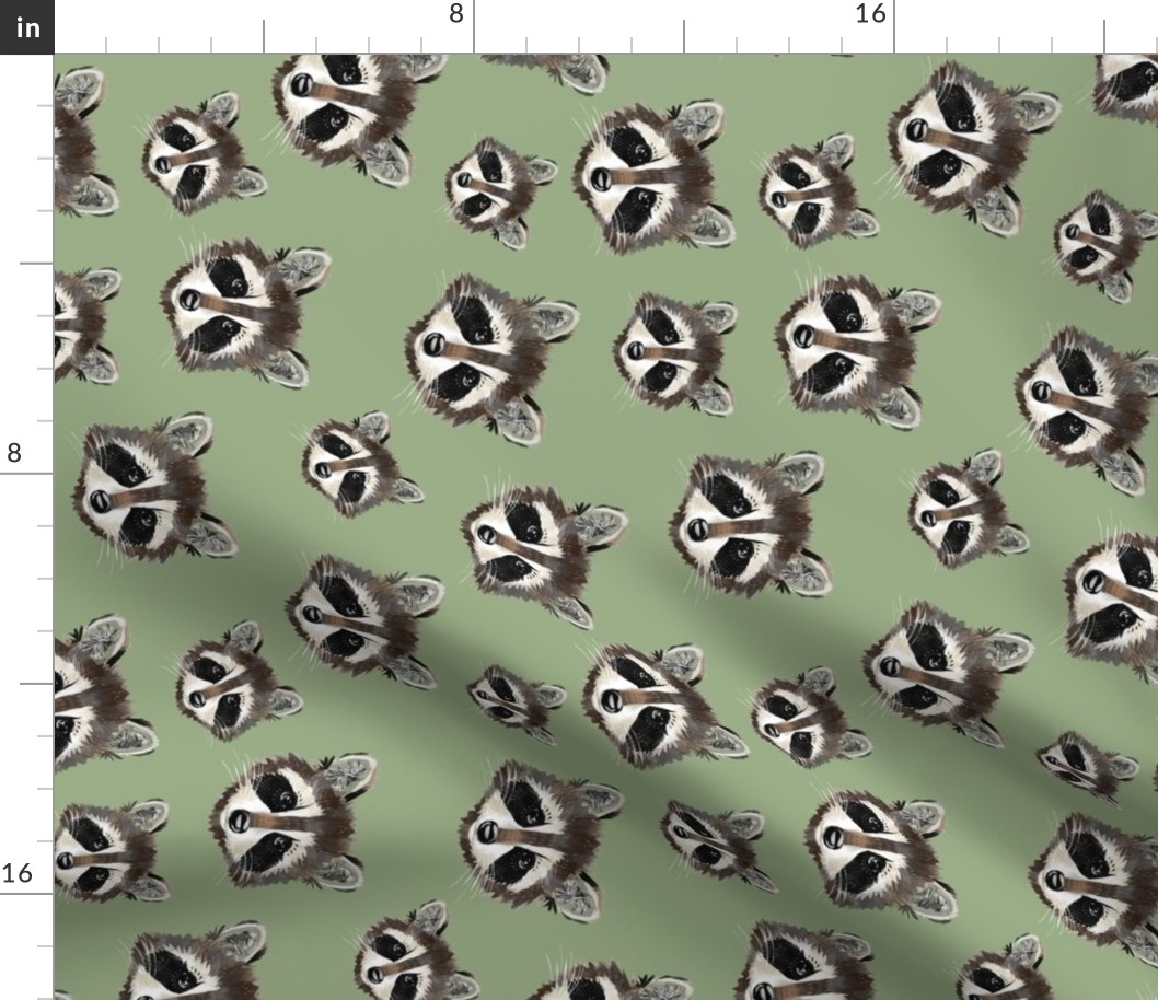 Raccoon Faces (green rotated)