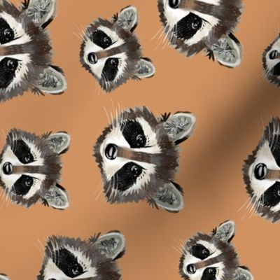 Raccoon Faces (terracotta rotated)