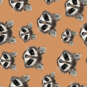 Raccoon Faces (terracotta rotated)