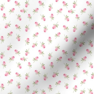 mini gouache rosebuds - white