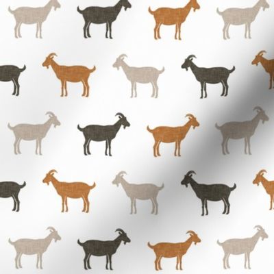 (small scale) goats - farm animals -  multi cedar - LAD22