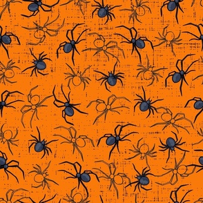 Spooky Spiders Halloween