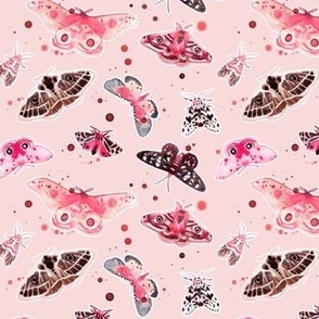 Moths in Pink