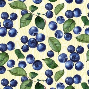 Watercolor Blueberries on Yellow Moire Texture (Large)